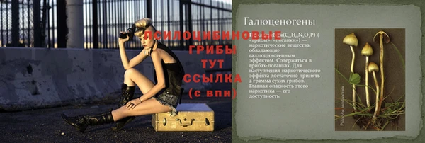 тгк Осинники
