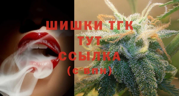 тгк Осинники