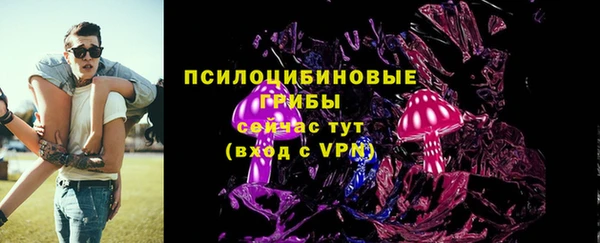 тгк Осинники