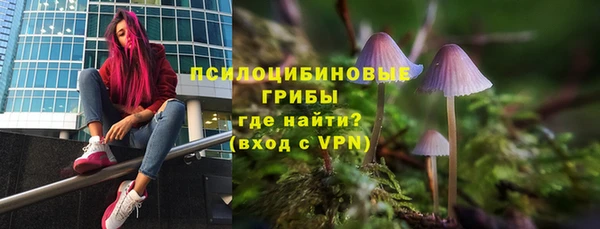 тгк Осинники